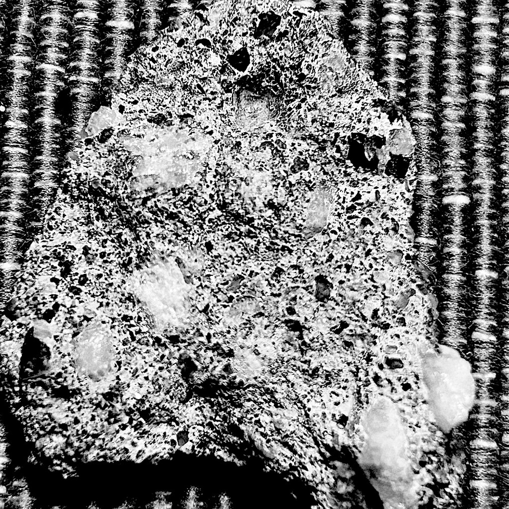 Literally not sure but could be multiple things found in Florida